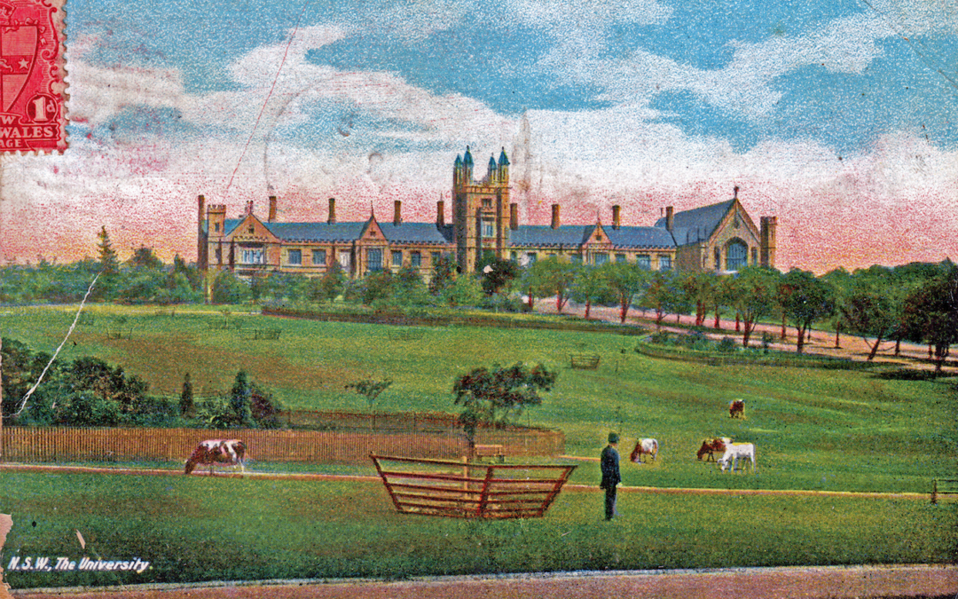 University of Sydney Postcards 1899-1955 by Jill Brown