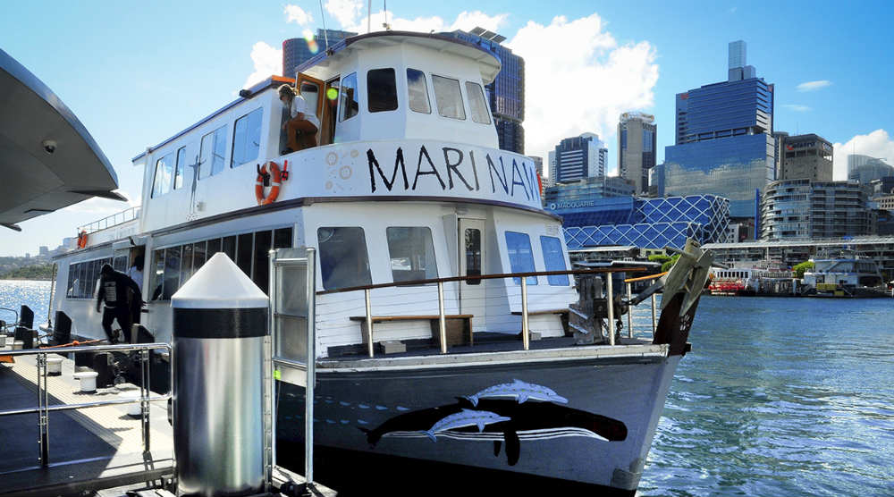 Harbour Cruise | Aboriginal Perspectives of Sydney | 11, 14, 15 August