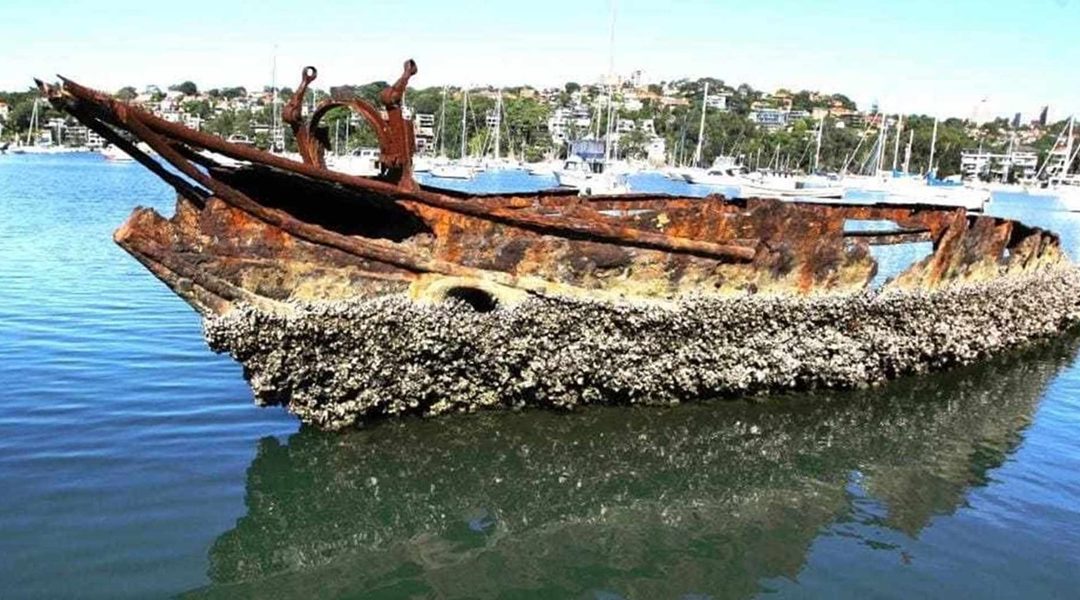 Harbour Cruise: Shipwrecks of Sydney Harbour | 10 October 2019